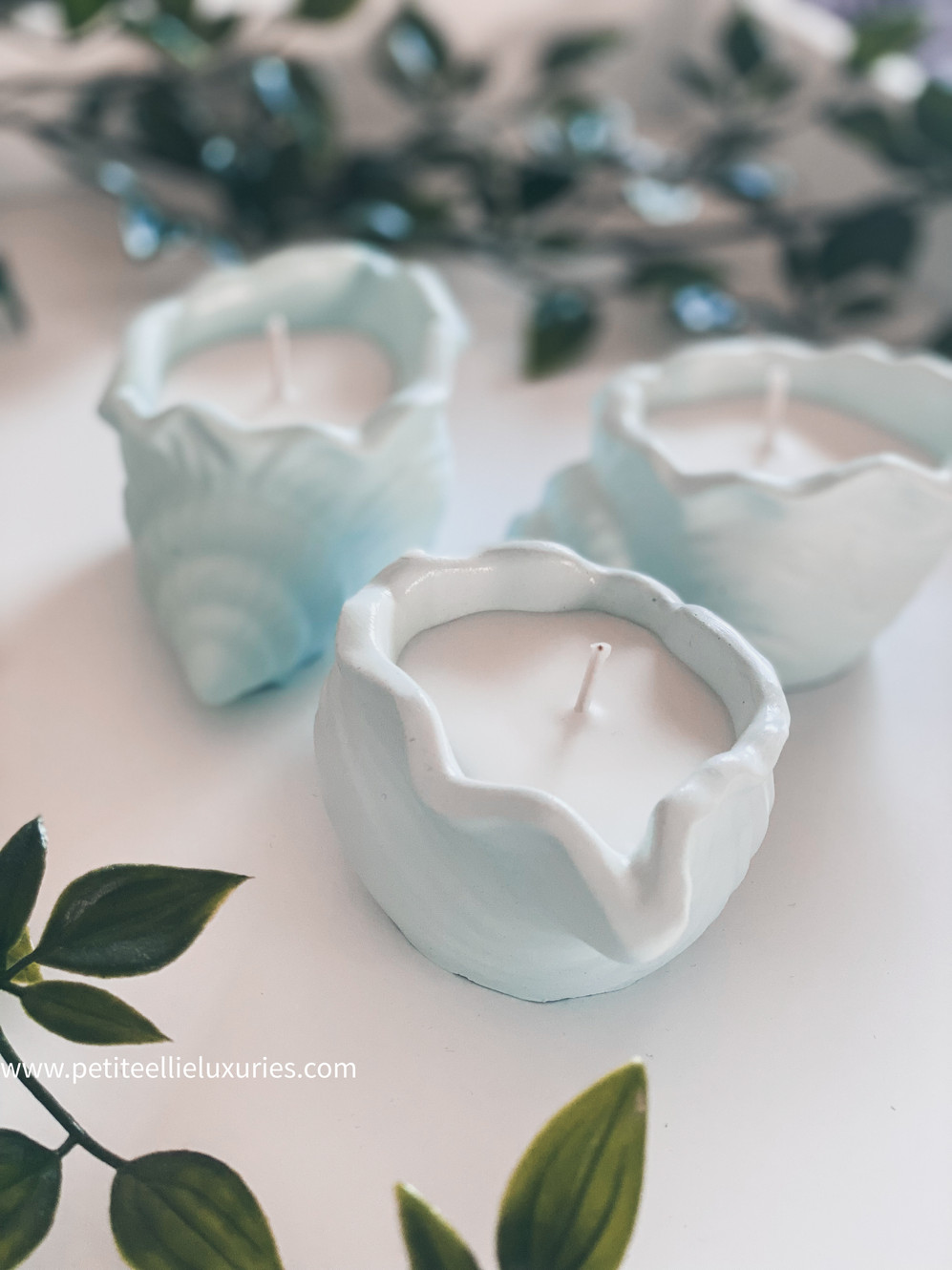 Petite Ellie  Luxuries
