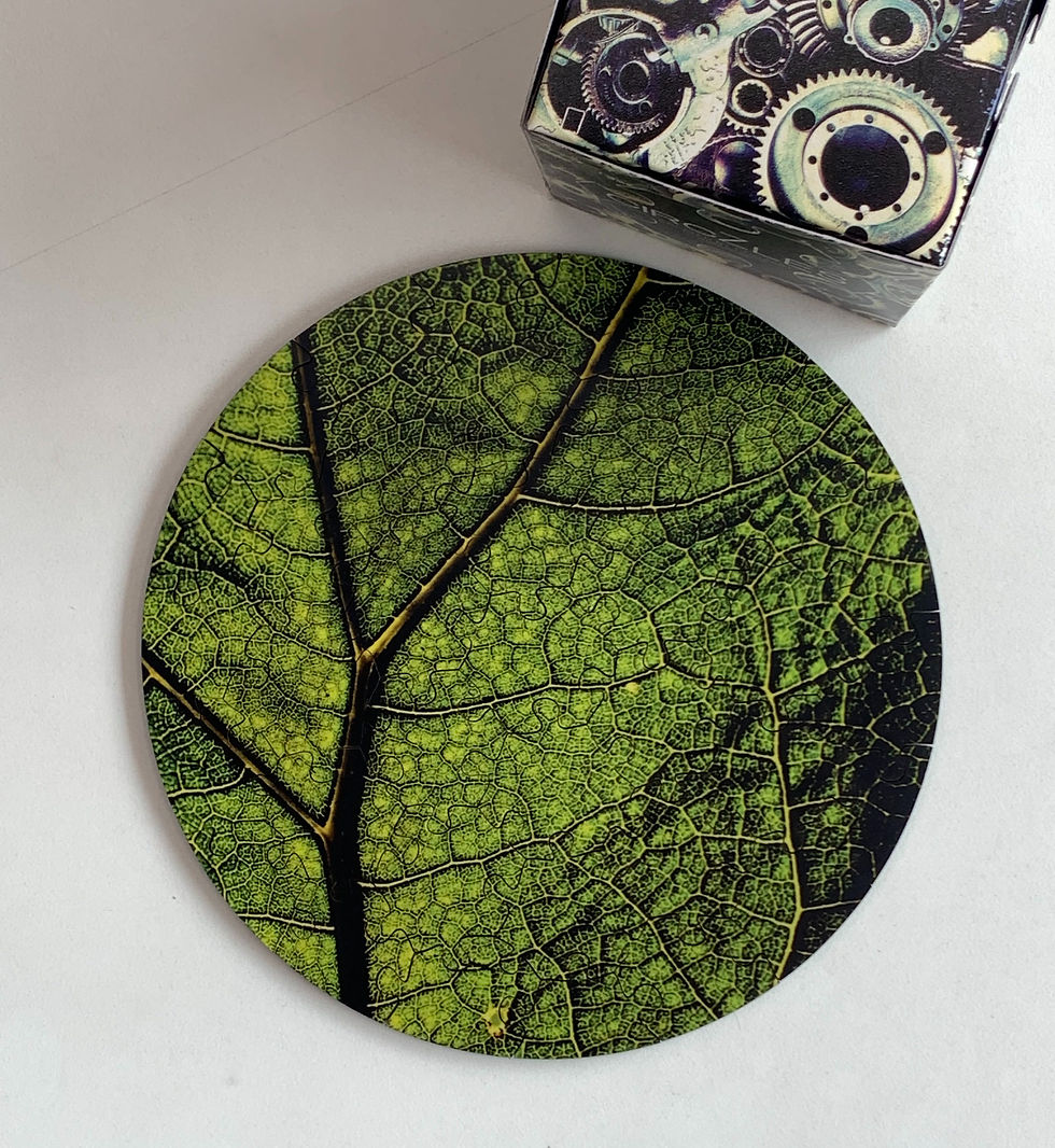 Round wooden leaf puzzle with intricate natural patterns designed for mindful focus and relaxing brain training