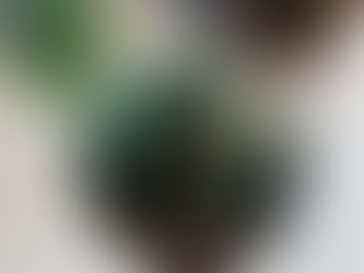 How Circular Puzzles Are Made