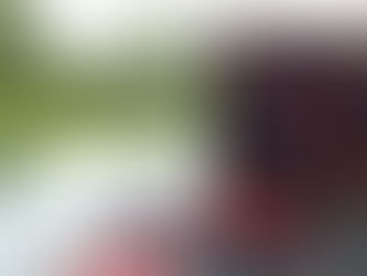 Puzzle pieces on a glass table with a vibrant lion design on a wooden box. Background shows a green garden with a metal chair.