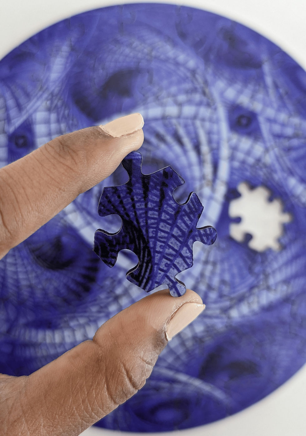 Eschresque puzzle piece for pattern recognition games with purple circular design in the background.