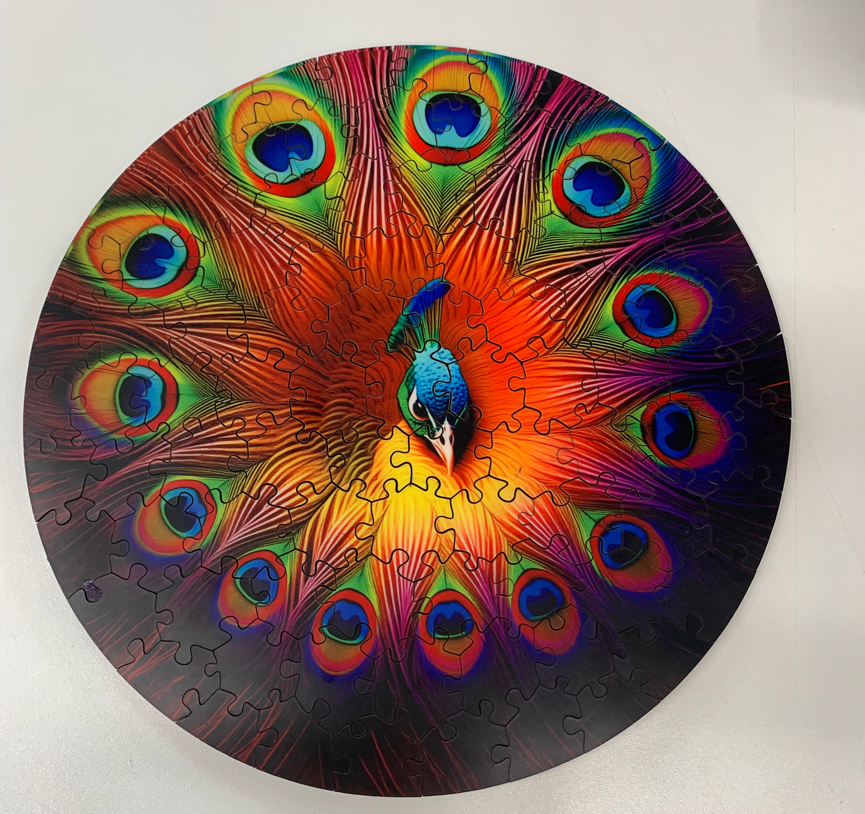 Colorful circular peacock puzzle on a white surface, with vivid rainbow feathers and a centered blue-green bird head.