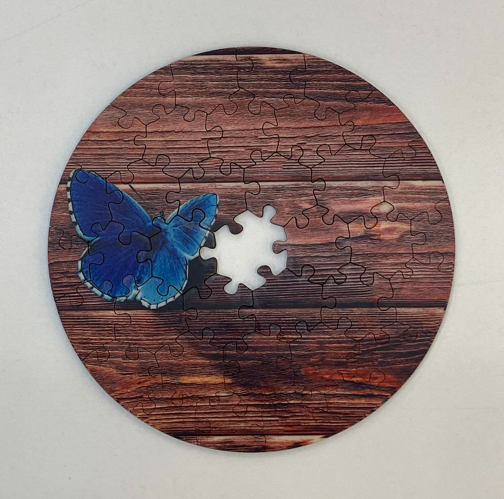Round jigsaw puzzle on a wooden pattern background with a missing piece. A blue butterfly is visible on the left side.