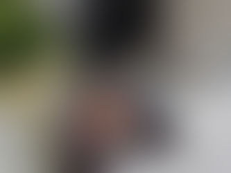 Open book with a cover showing a colorful tiger and the title "Unleash Your Inner Animal." Nearby, a green plant and pens are visible.