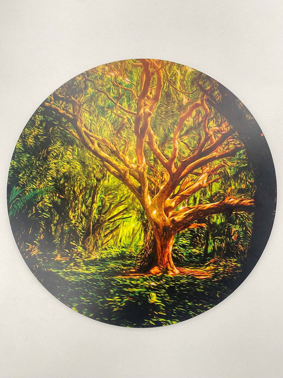 A vibrant, circular puzzle featuring a mature and artistic tree design, highlighting the importance of complex, dignified art for seniors seeking a meaningful puzzle experience.