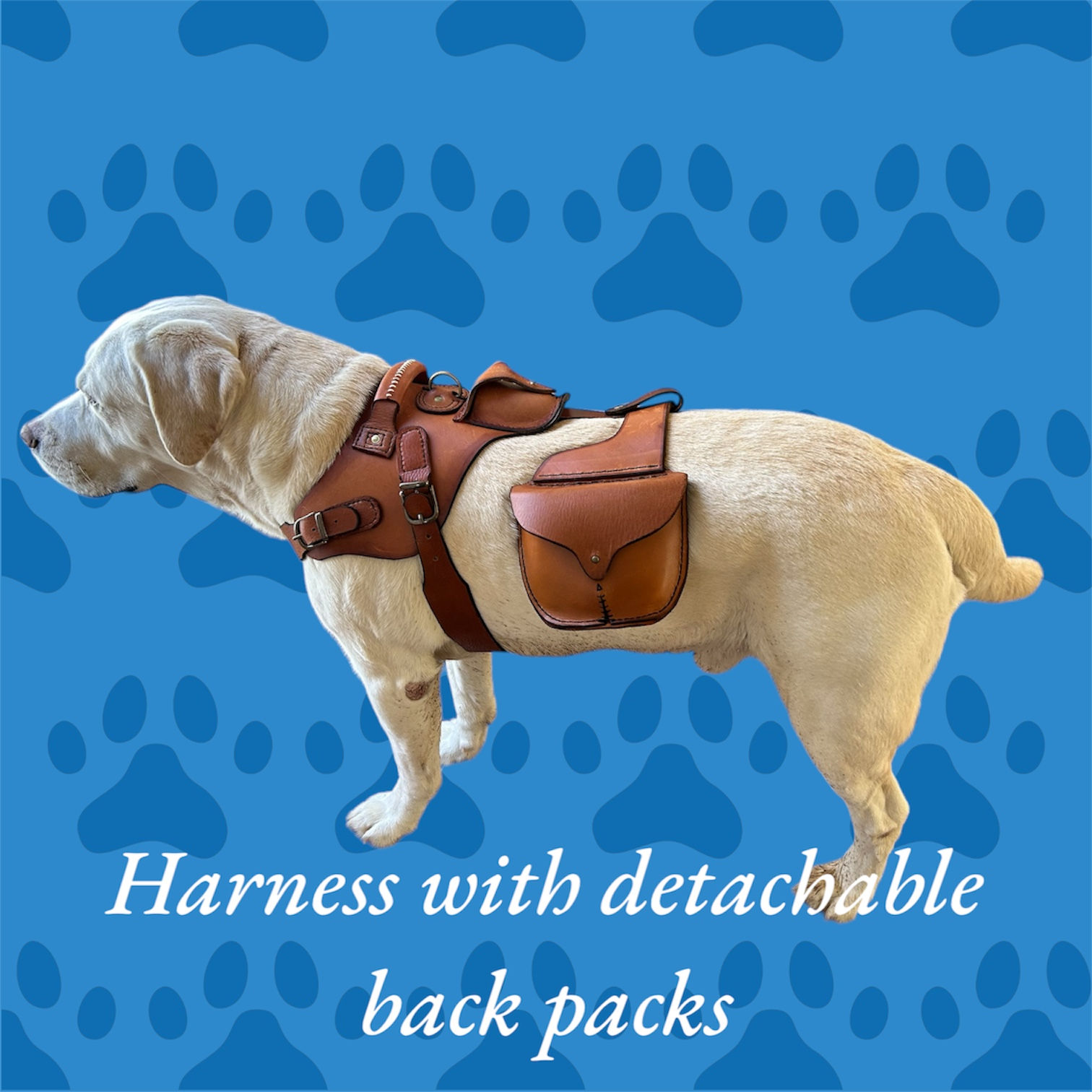 Full size dog harness