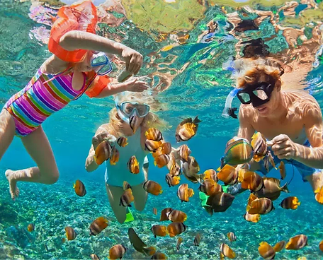 Ocean Activities