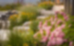 GardenPic.jpg