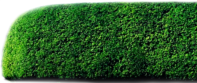 horizontal cedar_edited_edited.png