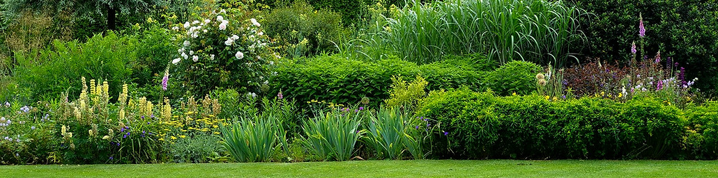 native naturalized garden