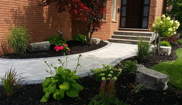 front yard and walkway