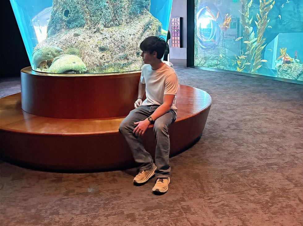 Kyle staring at a strange looking fish at the KC zoo and aquarium