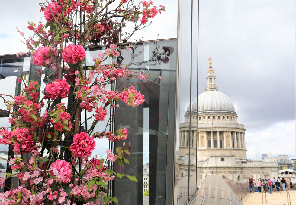 The best view of St. Paul's Cathedral