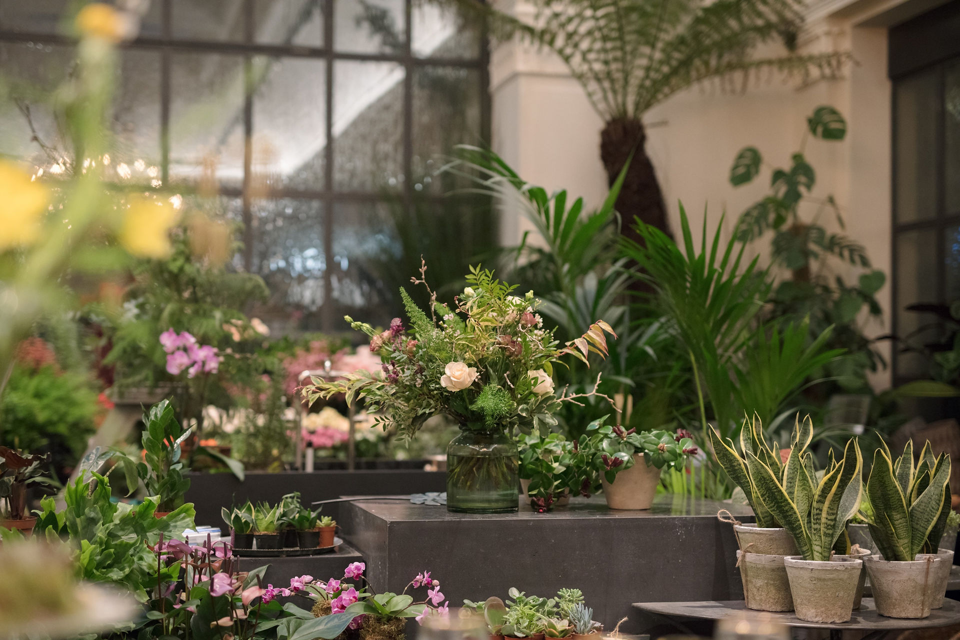 The Florist