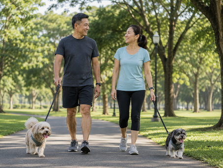 Couple walking dogs in park during weekday morning early retirement lifestyle