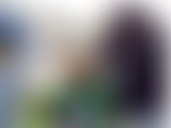 Building the Mental Infrastructure