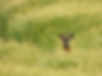 DSCN0192.JPG