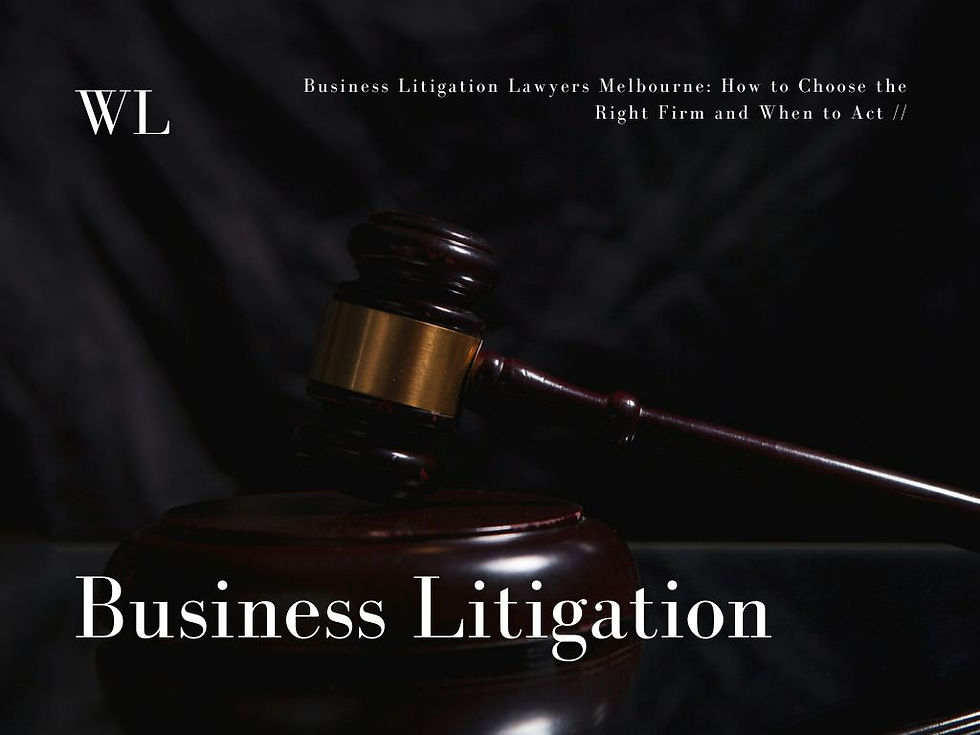 business litigation lawyer