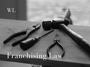 Franchise Information Statement