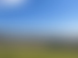 Wright Motorsports Returns to Indy as Defending Winners for Battle on the Bricks