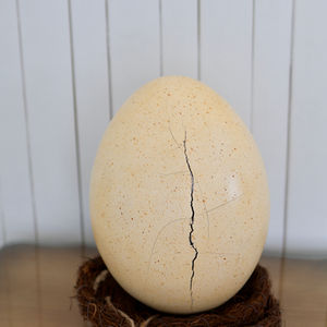 Oeuf de dino 1