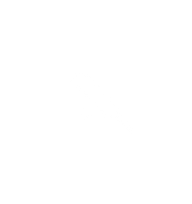 cricket bat.png