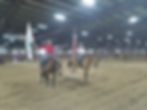 2019 IBHA World Show