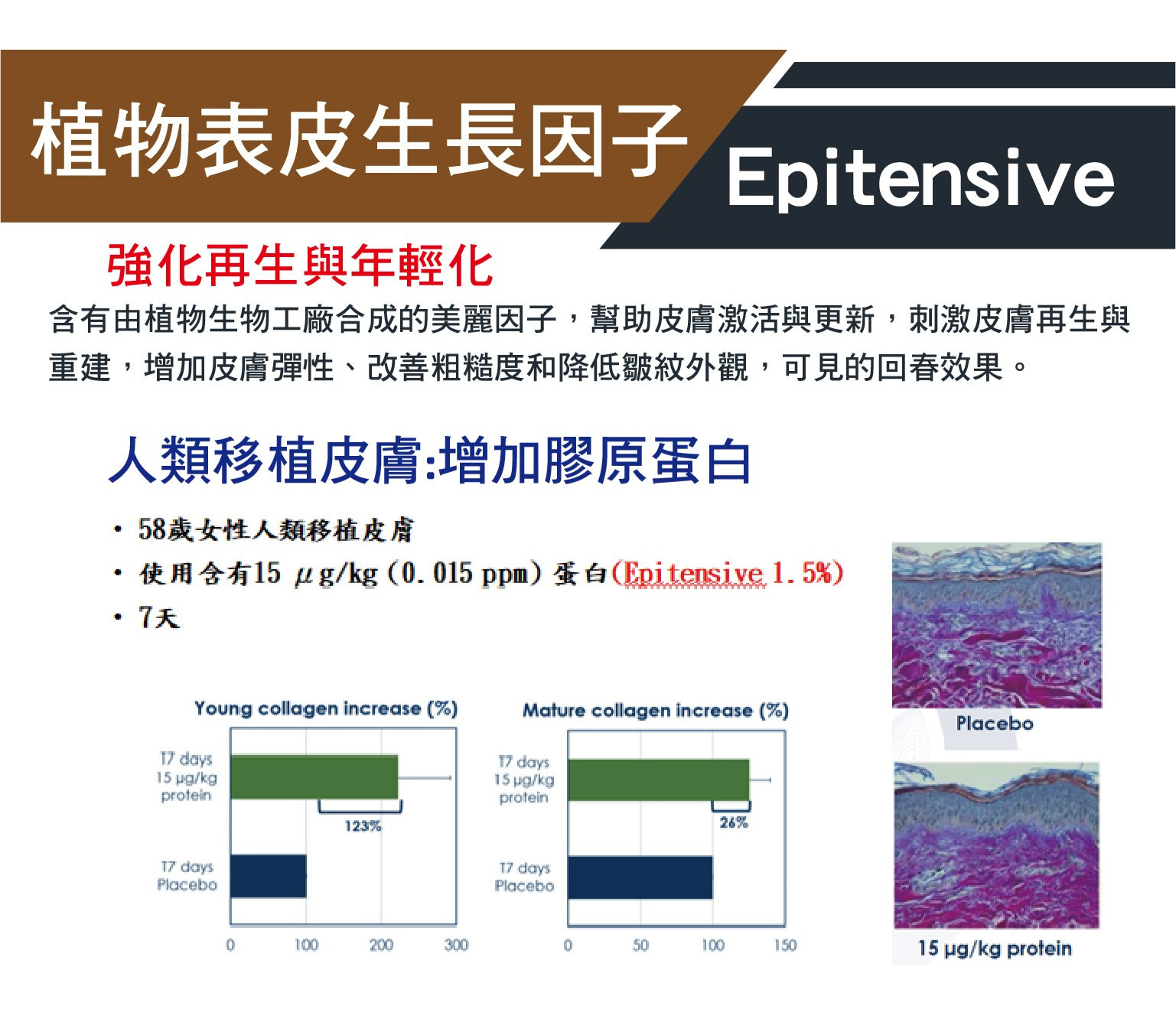 植物表皮生長因子-Plant epidermal growth factor