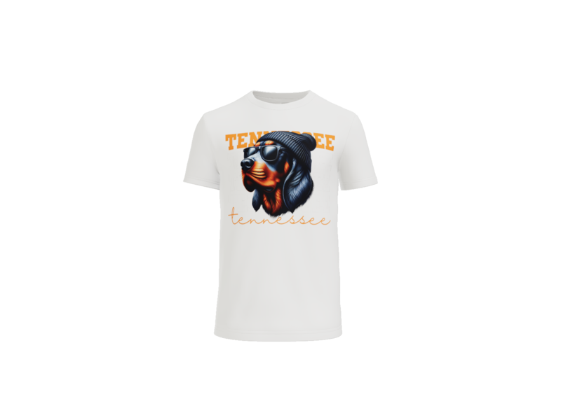 Tennessee Smokey T-Shirt Bella+Canvas