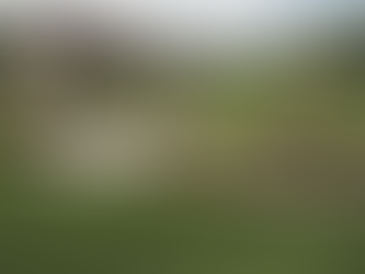 Understanding Weekly Lawn Mowing Costs in Terre Haute: A Comprehensive Guide