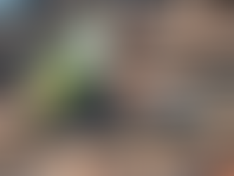 Rankings of Roofers in Loveland: Trusted Recommendations and Reviews