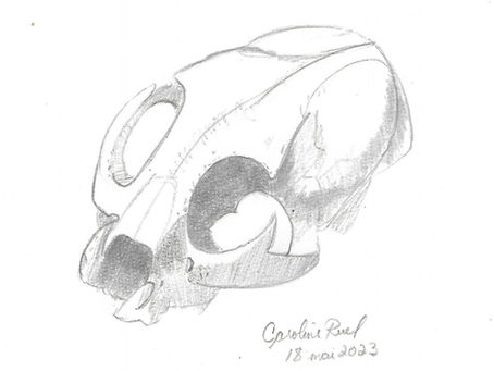 Ce que les autres pensent de toi ne te regarde pas.