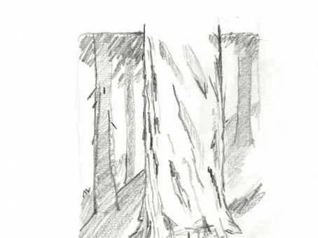 Tronc d'arbre