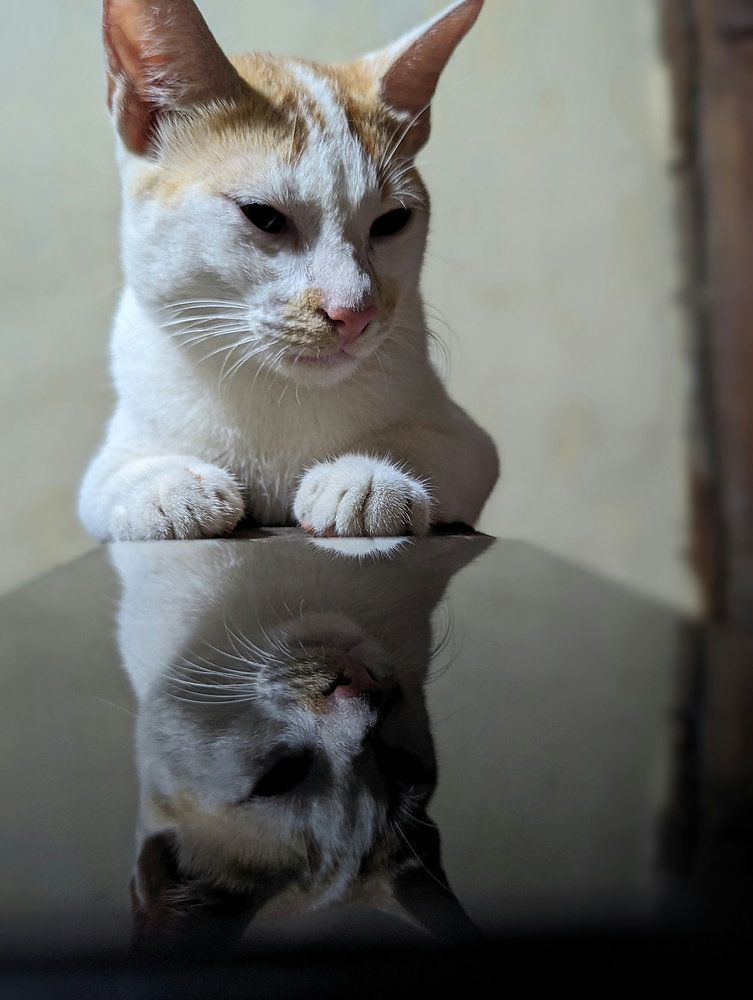 Inseparable!