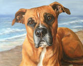 11x14 oil on canvas