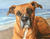 11x14 oil on canvas