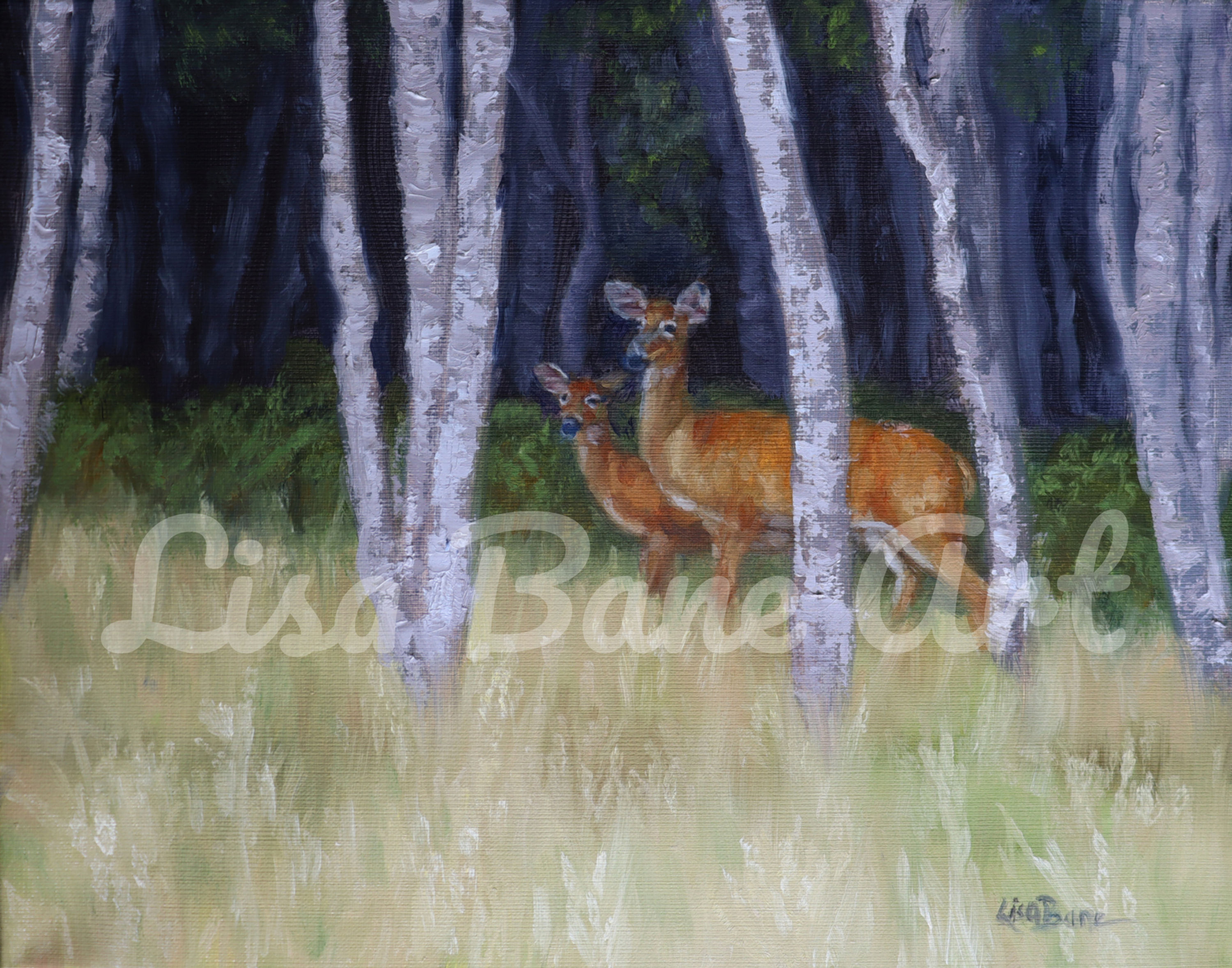 Deer in Woods, 11x14" Giclee print