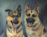 16x20 oil on canvas