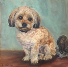 12x12 oil on canvas