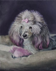 Oil painting of miniature poodle with gray and white fur.