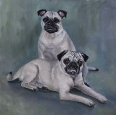 pet portrait of two pugs