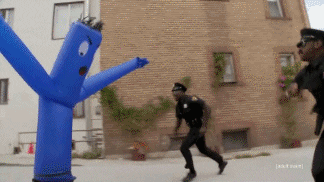 police tantrum.gif
