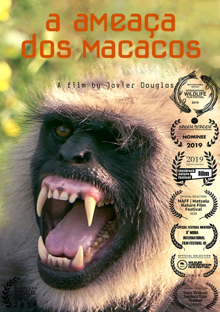 UM DIA LINDO_POSTER.jpg