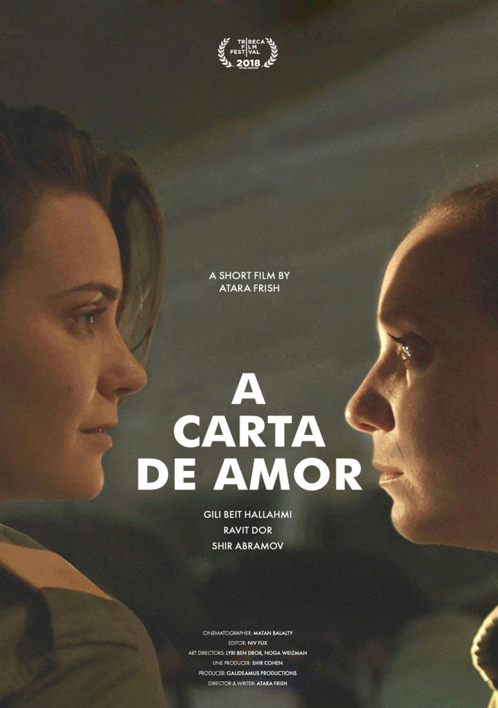 UM DIA LINDO_POSTER.jpg