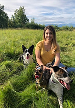 Lacey and Dogs.jpeg
