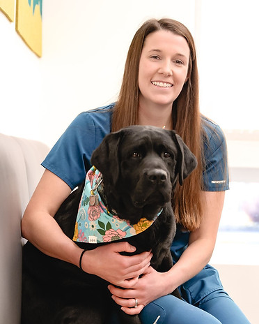 Our Team North Star Animal Hospital Pet Doctor Pet ER Cat