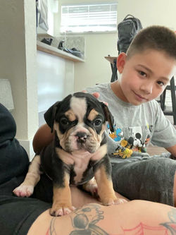 IMG_20210819_092306_300