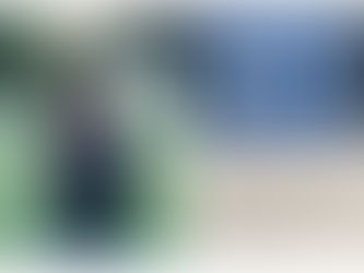 Ways to Get Involved