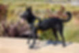 20240313_YAP_1429.jpg