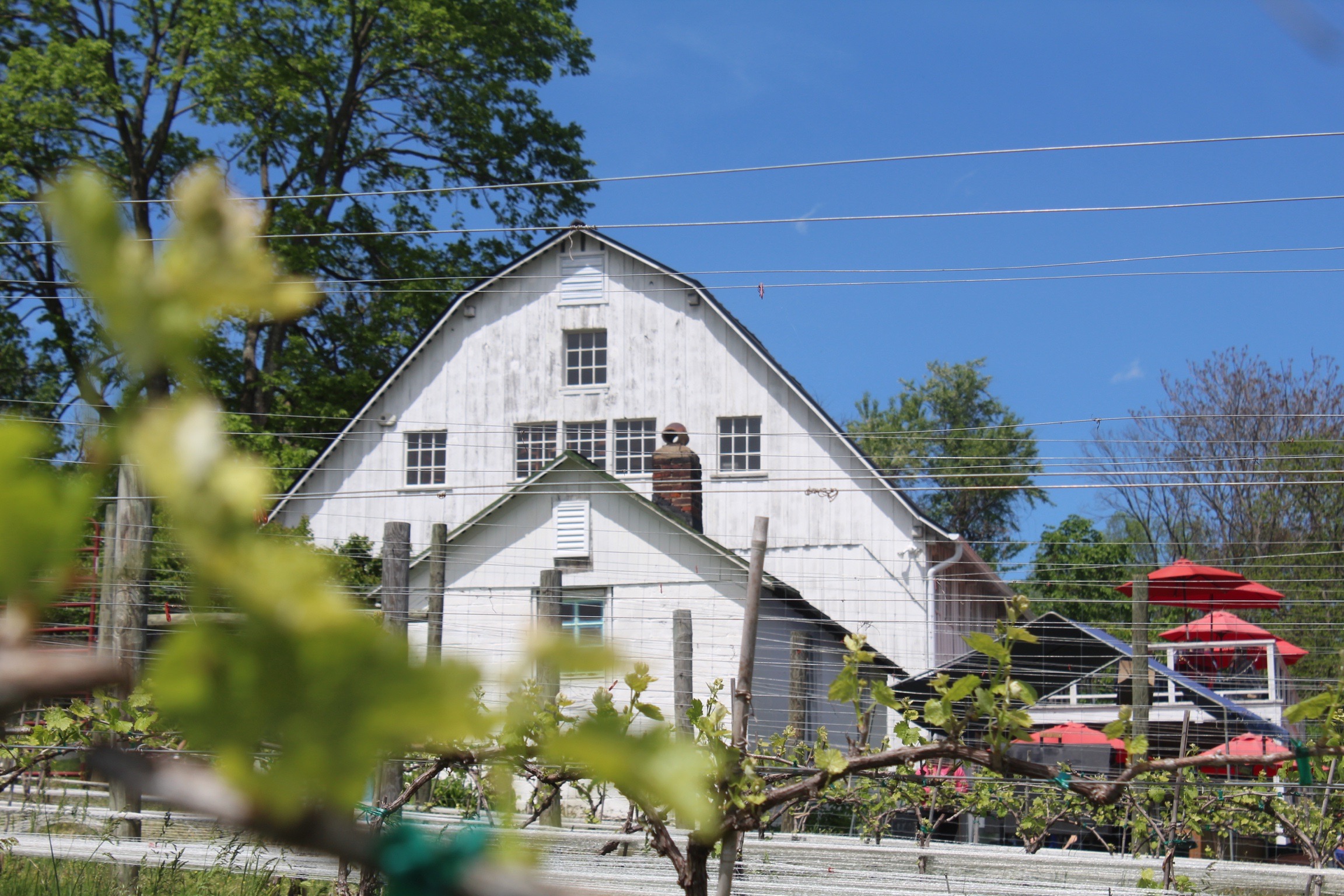 The Barns at Hamilton Station Vineyards Photos